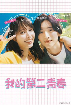 福建网站优化哪家强